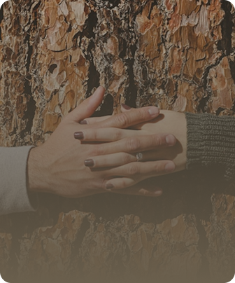 Rectangle 50 (1).png